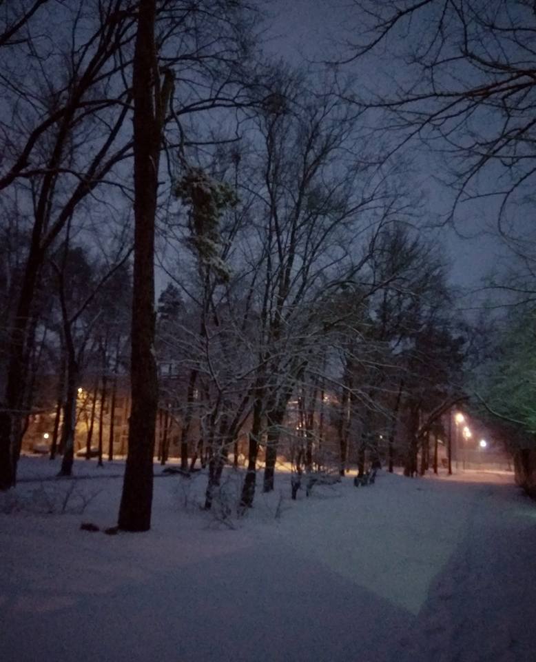 Ну, где же весна? В сети показали снежные фото Киева 29 марта