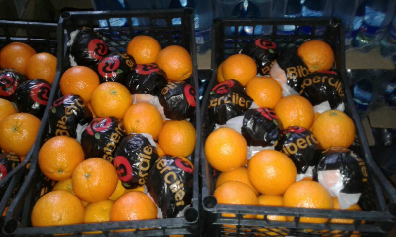 Фрукты, колбасы и крабовые палочки: в сети показали, чем кормят бойцов АТО (фото)