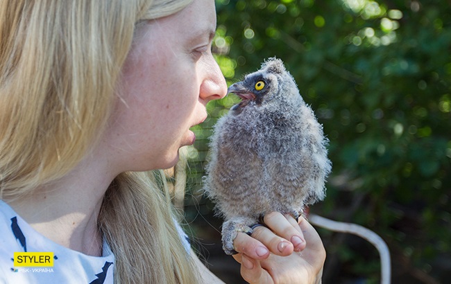 &quot;Били об стіну, нацьковували собак&quot;: як волонтер із Запоріжжя виходжує диких тварин і чому любить їх більше людей