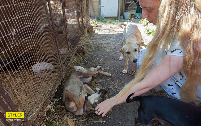 &quot;Били об стіну, нацьковували собак&quot;: як волонтер із Запоріжжя виходжує диких тварин і чому любить їх більше людей