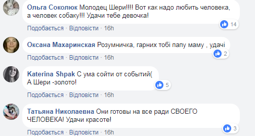 &quot;Бесстрашно бросилась спасать&quot;: сеть растрогала история про храбрую собаку в Киеве