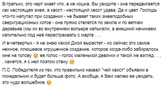 У зоопарку під Києвом з'явилася рідкісна тварина (фото)