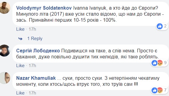 У Тернополі жорстоко труять безпритульних собак: люди в соцмережах обурені