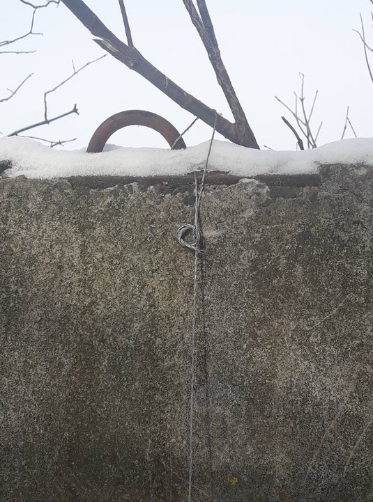 "Гаврилівські курчата" с кошатиной: на фабрике обнаружили ужасающую находку