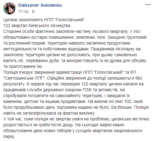 &quot;Закидали камінням&quot;: табір ромів захопив парк у Києві (фото)
