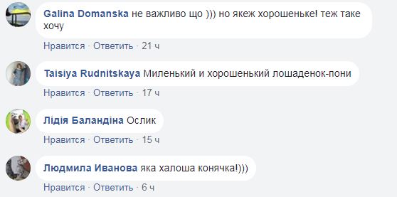 Кто это родился? В зоопарке под Киевом пополнение (фото)