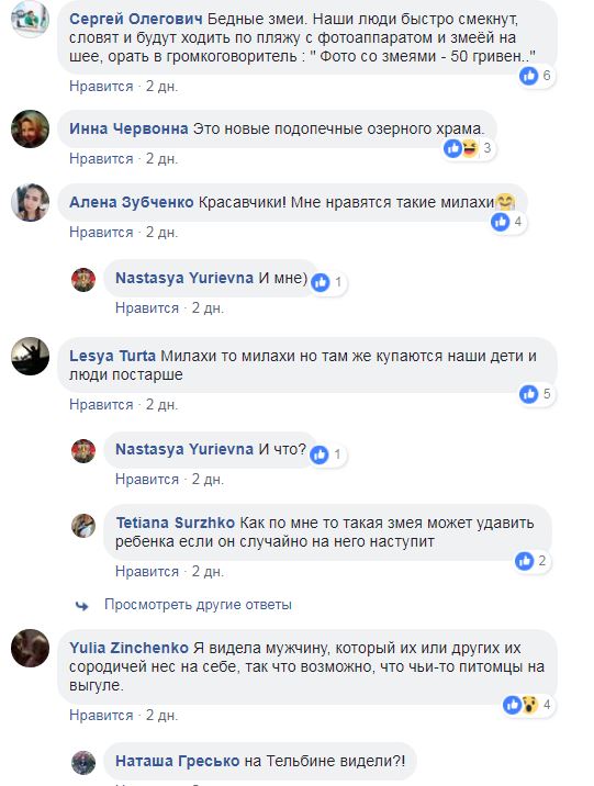 "Ужас": в Киеве на пляже отдыхали питоны (фото)