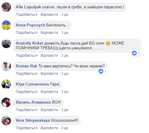 В Карпатах нашли грибы размером с зонт (фото)