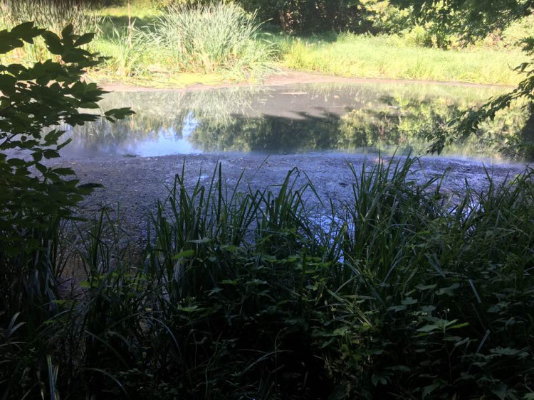 "Нестерпимый смрад": в Винницкой области из-за техногенных выбросов село "замело" сажей (фото)