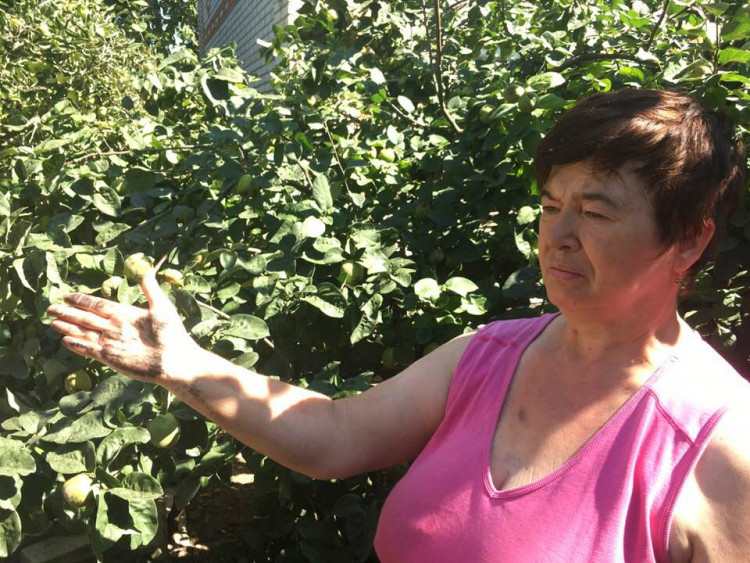 "Нестерпимый смрад": в Винницкой области из-за техногенных выбросов село "замело" сажей (фото)