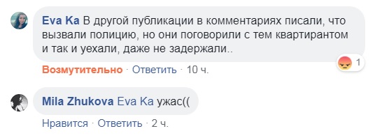 &quot;Найти и наказать&quot;: в Киеве мужчина выбросил из окна щенка