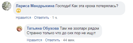 Розшукуються батьки: у Київській області знайшли маленьку дитину (фото)