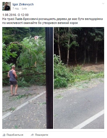 Непогода на Львовщине заблокировала трассу и повредила машины