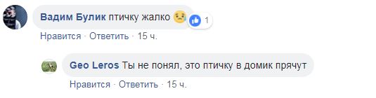 &quot;Моя любимая птица&quot;: киевляне шокированы уничтожением мурала (фото)