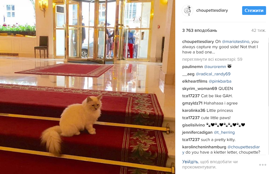 Хакери вкрали акаунт кішки дизайнера Карла Лагерфельда в Instagram