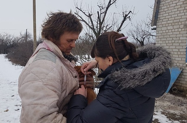 Нападение волка в Запорожской области: на горе пострадавших наживаются мошенники