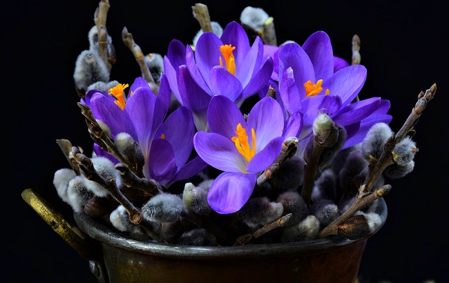 Синоптики порадували українцем прогнозом на сьогодні