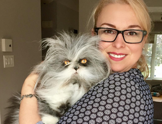 Забавна тварина: кошлатий "котопес" став новою зіркою мережі