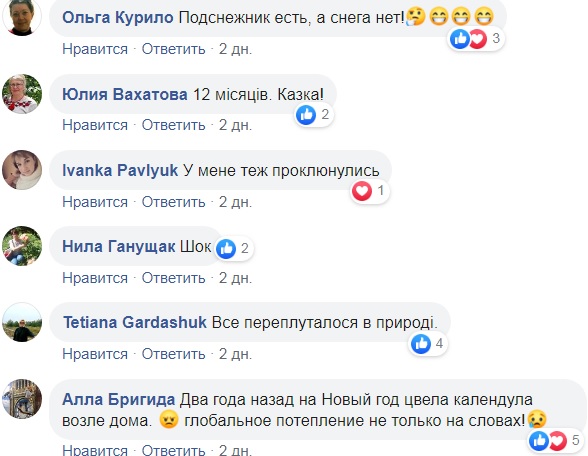 Чергова природна аномалія: в Україні забили тривогу (фото)