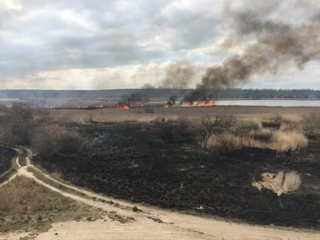 Дети устроили масштабный пожар вблизи известного украинского курорта: фото и видео