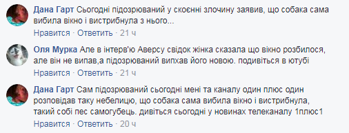 В мережі розповіли про собаку з Луцьку, якого викинули з дев’ятого поверху