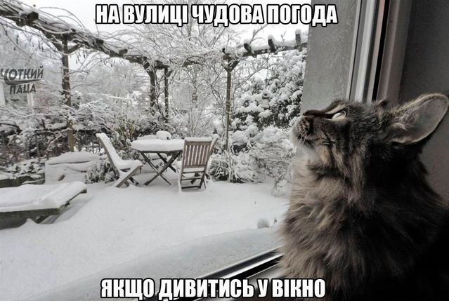 Снегопад в Украине: в сети с юмором обсуждают ноябрьский снег