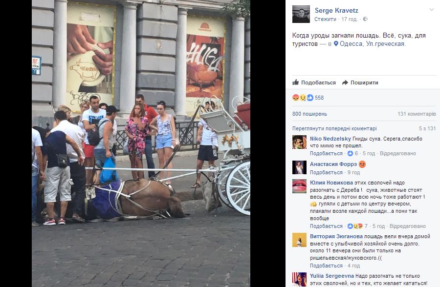 Сеть возмутила загнанная до обморока лошадь в Одессе