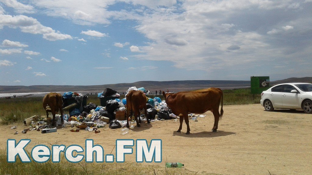 У Криму окупанти перетворили популярний лікувальний курорт в стихійне звалище