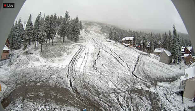 В Украине выпал первый снег: яркие фото и видео