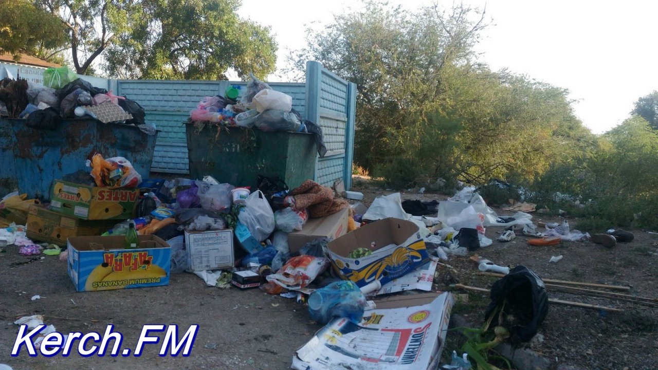 В сети показали, во что оккупанты превратили "уютные дворики" Керчи