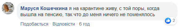 Карантин в Киевской области могут продлить до осени: сеть негодует