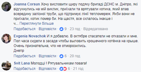 Не дали замерзнути: у Хмельницькій області рятувальники зняли з дерева кота