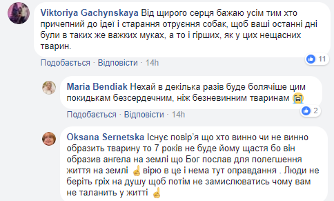 "Нема оправдання": в Івано-Франківській області жорстоко потруїли собак (відео)