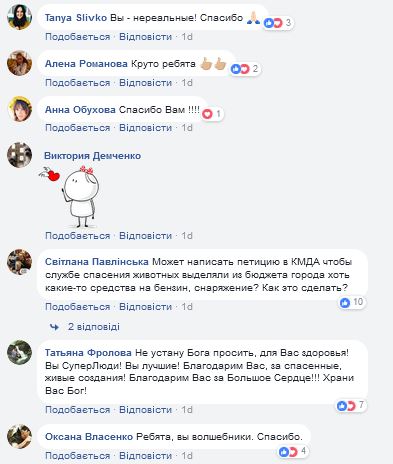 Сеть восхитила спецоперация по спасению утки в Киеве (фото)