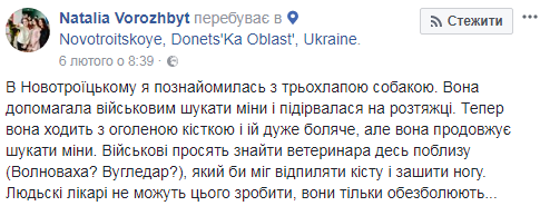 "Йому дуже боляче, але він продовжує шукати міни": історія пораненого собаки із зони АТО (фото)