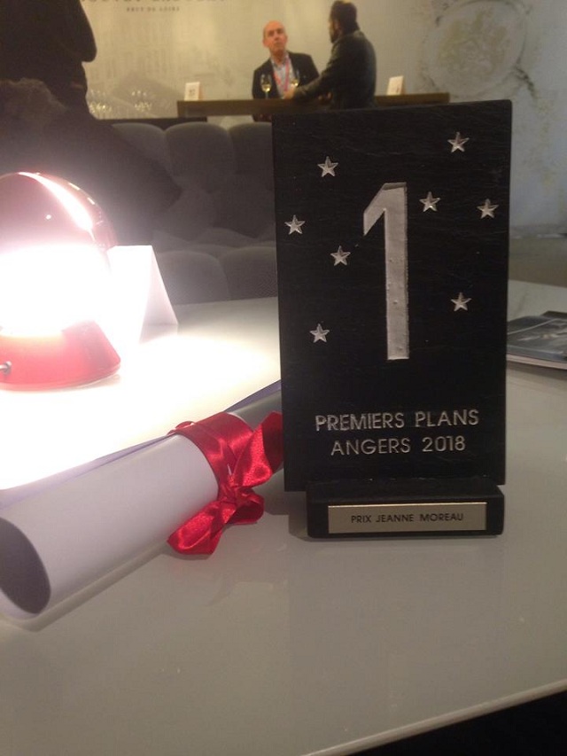 &quot;Это формидабль!&quot;: украинский фильм выиграл важную награду во Франции