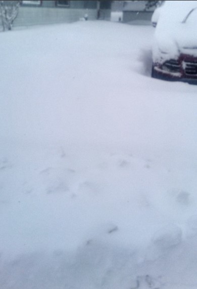 Сотні аварій та пошкоджені будинки: в США в квітні почався "льодовиковий період" (фото, відео)