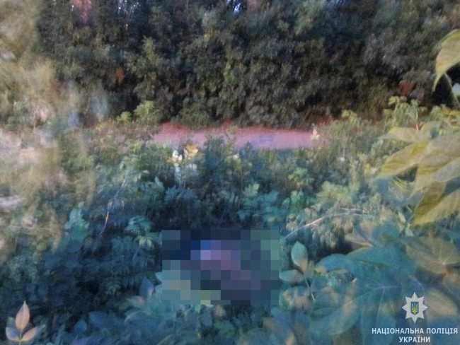 Зарезал в кустах: в Бердичеве 15-летний парень убил женщину