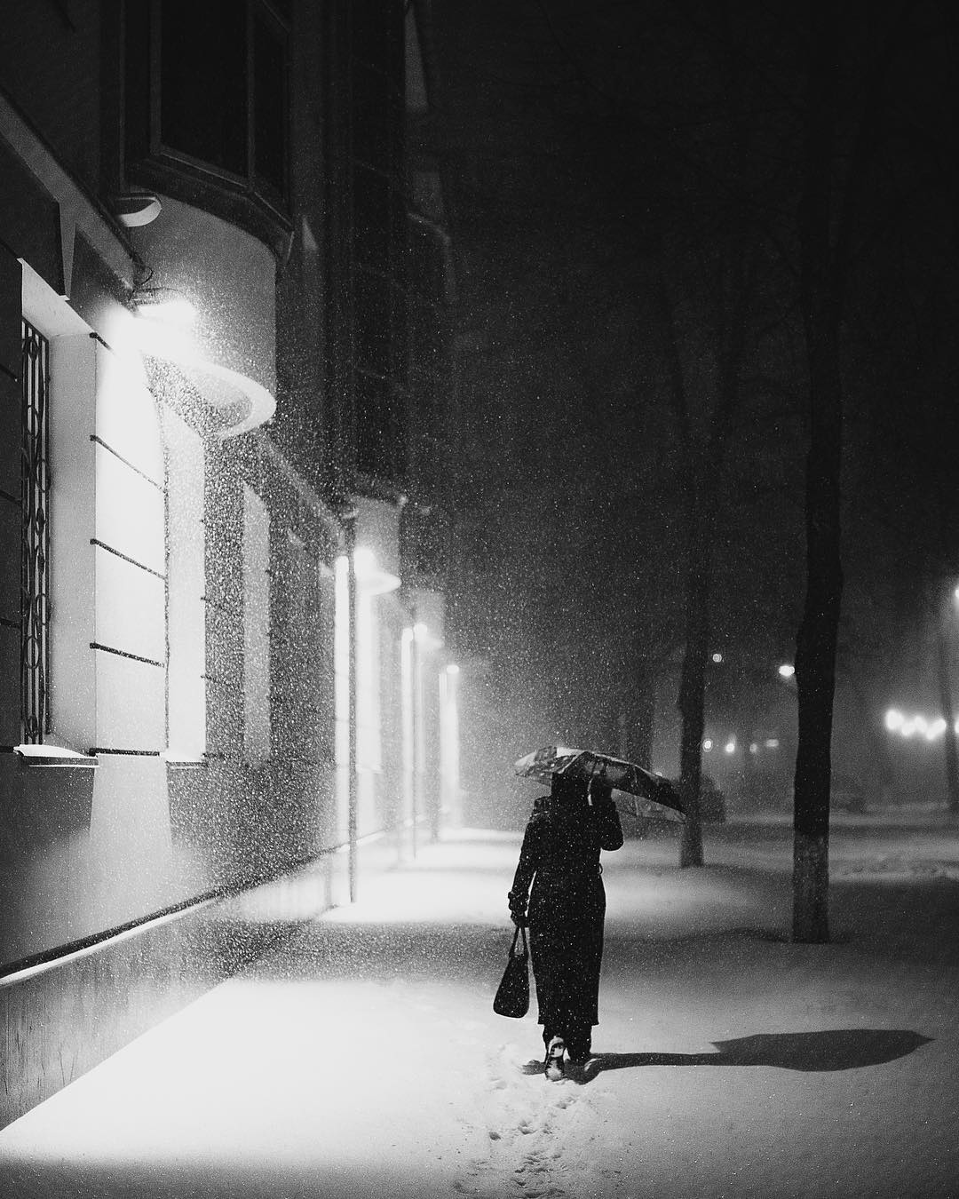 Снегопады в Украине: непогода накрыла города (фото, видео)