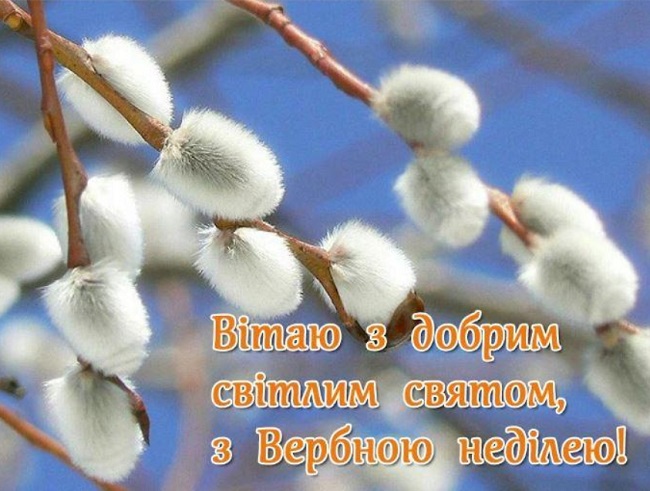 Вербна неділя 2020: традиції, що не можна робити, листівки та привітання