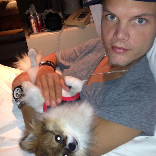 "Я не хочу, щоб це було реальністю": колишня дівчина Avicii відреагувала на смерть діджея