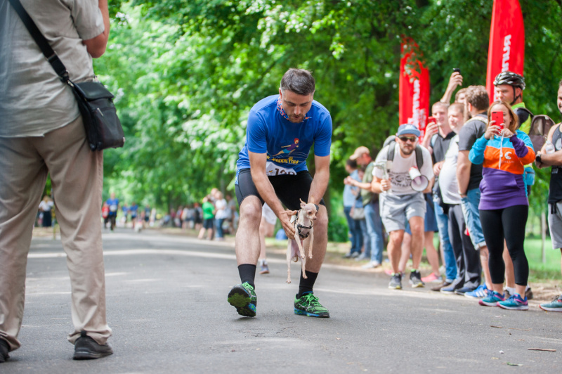 В Киеве установят рекорд самого массового забега с собаками