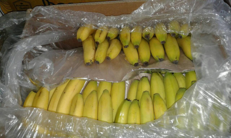 Фрукты, колбасы и крабовые палочки: в сети показали, чем кормят бойцов АТО (фото)