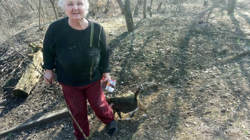 "Выхаживала полумертвого котейку и плакала": зоо-волонтер из "серой зоны" нуждается в помощи