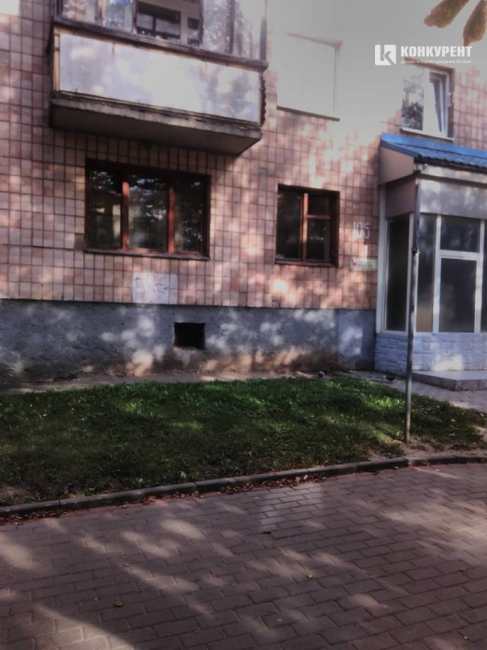 Код "от Сатаны": пенсионерка выходит из дома исключительно через окно по лестнице (фото)