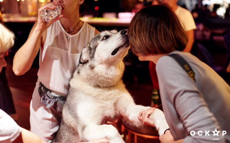 В Киеве состоялась гала-премьера эпического фильма "Альфа" (фото)