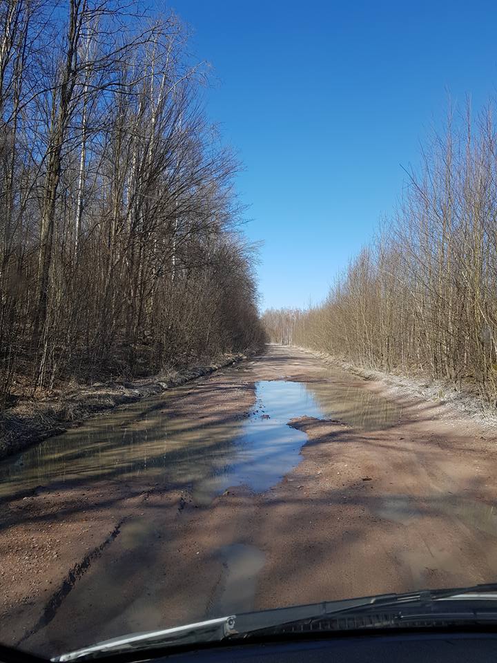 "Шкода водіїв": в мережі показали фото "убитої" дороги в Житомирській області