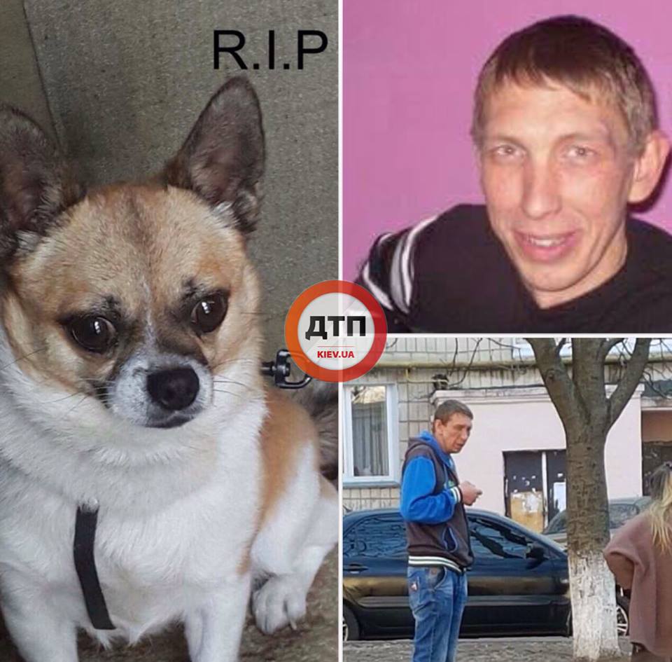 В Киеве мужчина выкинул с девятого этажа собаку