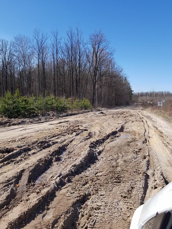 "Шкода водіїв": в мережі показали фото "убитої" дороги в Житомирській області