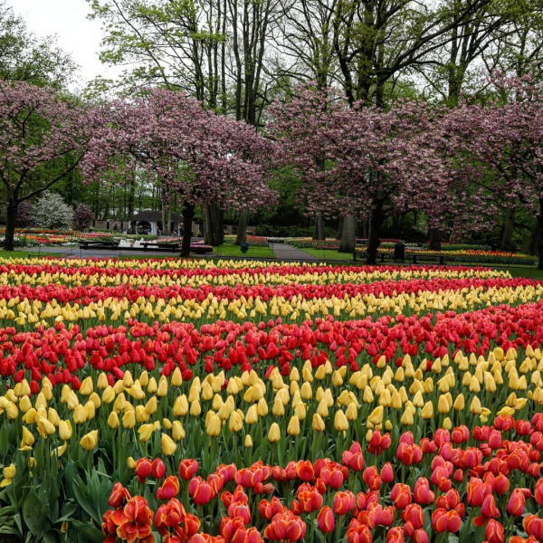 Евротуры и релакс по-турецки: где и как проводят "маевку" украинские звезды (фото)